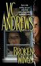 [Broken Wings 01] • Broken Wings